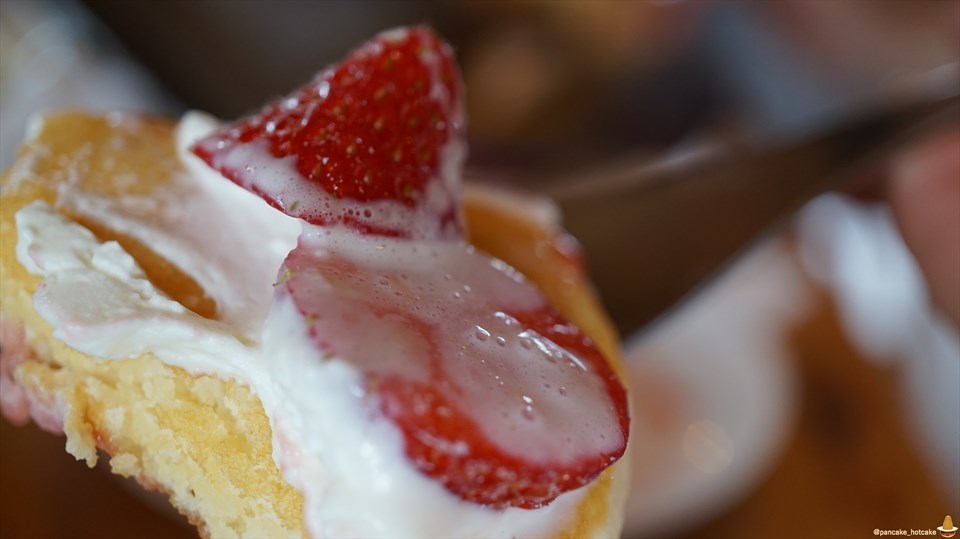パンケーキの聖地 森のVoiVoiへ行こう♪超絶品バターミルクパンケーキ＆ダッチベイビー（栃木/那須）パンケーキマン